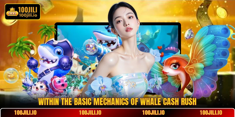 Within the basic mechanics of Whale Cash Rush
